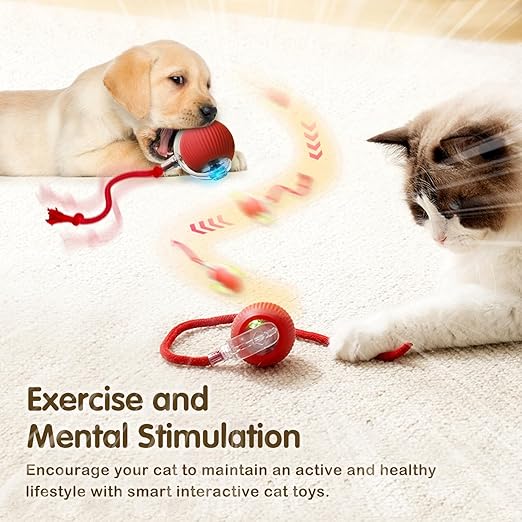 Rolling Pet Ball