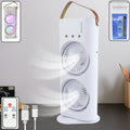 Electric Fan Double-head Powerful Air Cooler