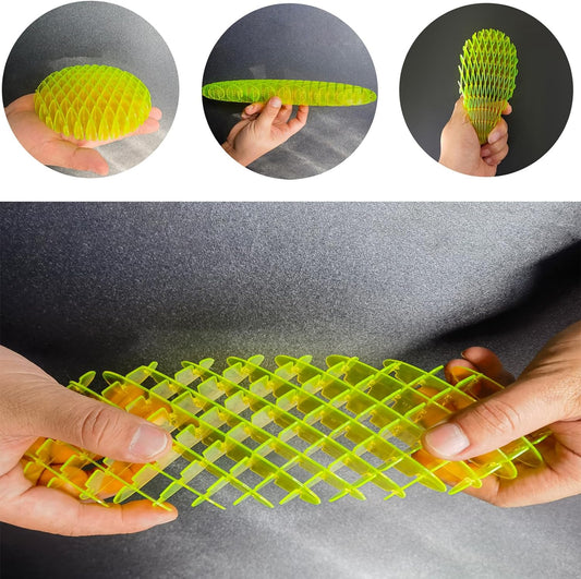 Fidget Worm Toy