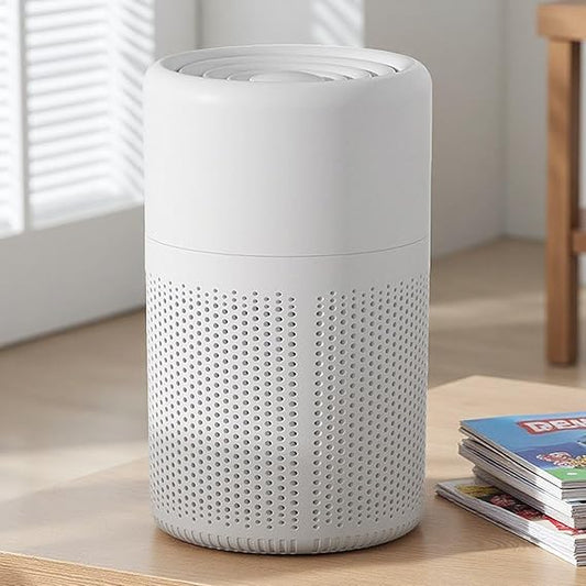 Portable Air Purifier ( no filter )