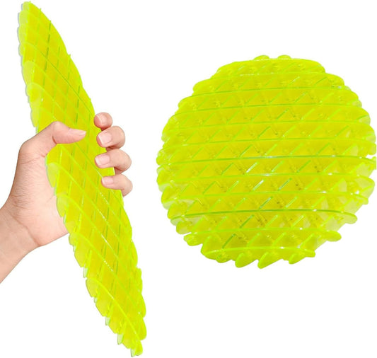 Fidget Worm Toy