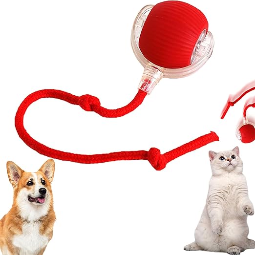 Rolling Pet Ball