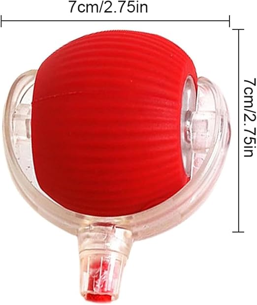 Rolling Pet Ball