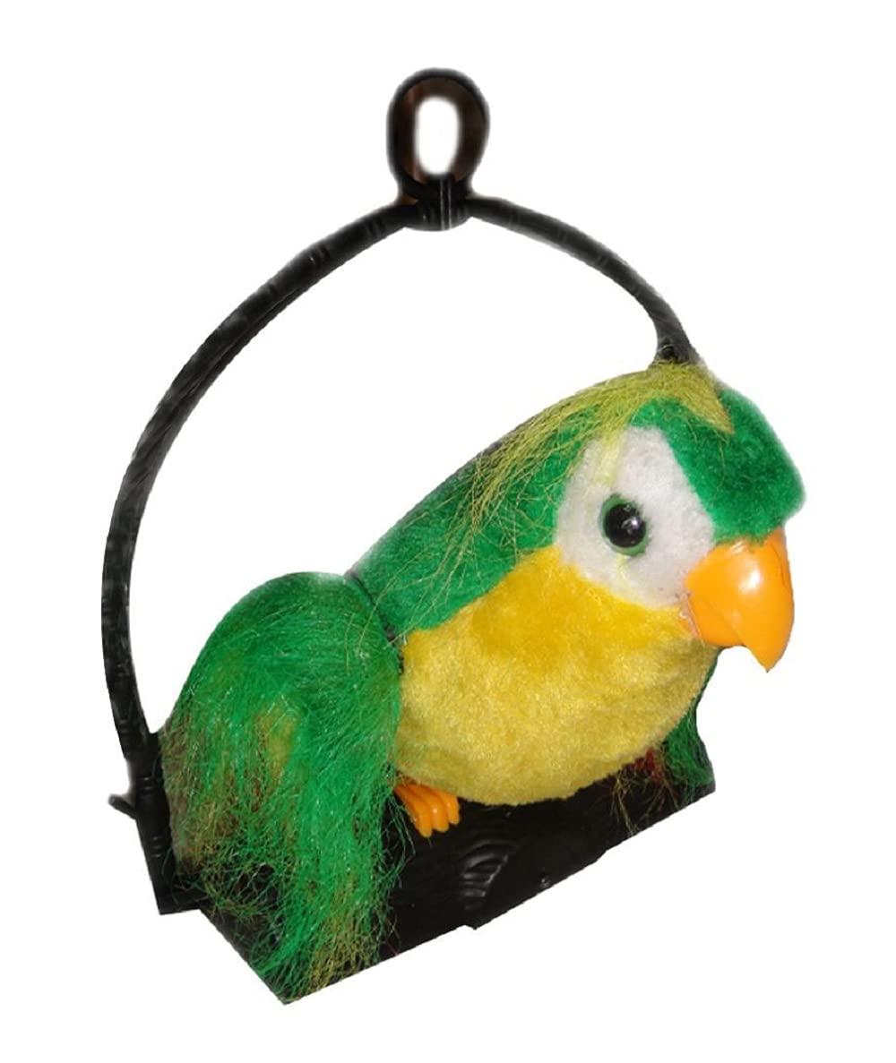 TALK BACK PARROT
