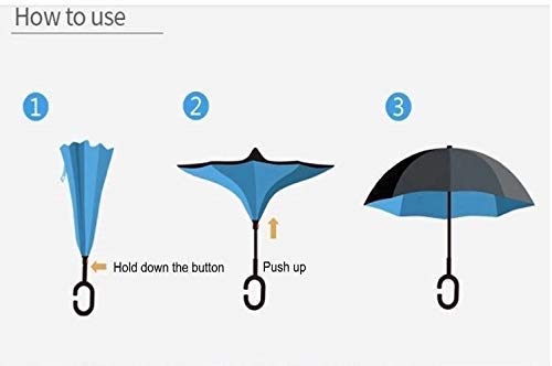 C Umbrella