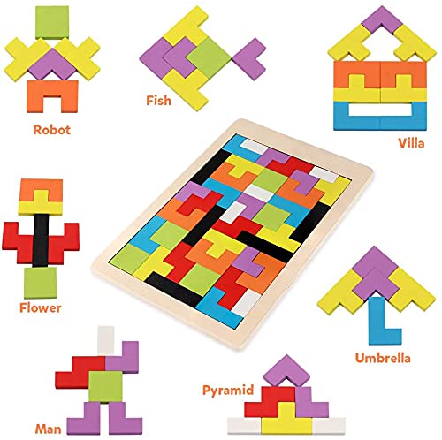 WOODEN INTELLEGENCE PUZZLE