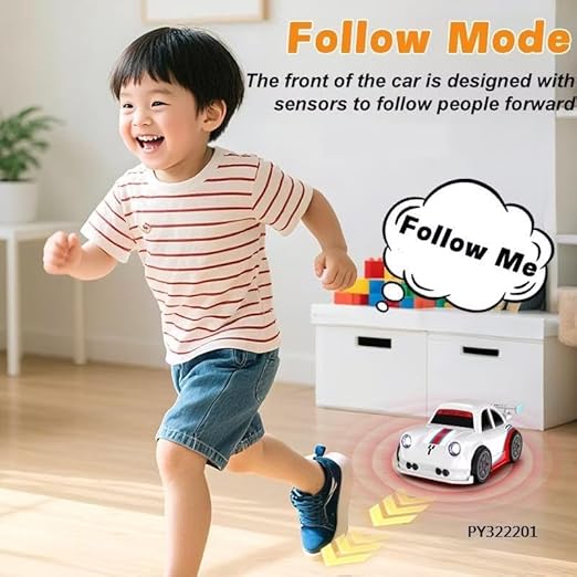 MINI DRIFTING CAR TOY RC CAR