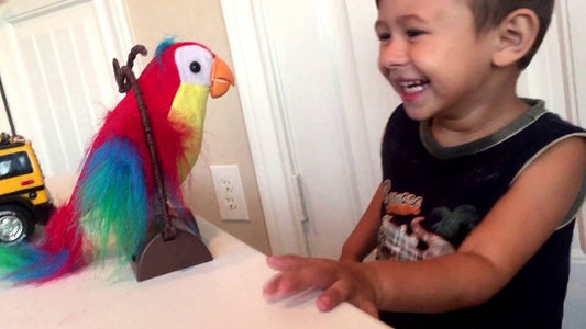 TALK BACK PARROT