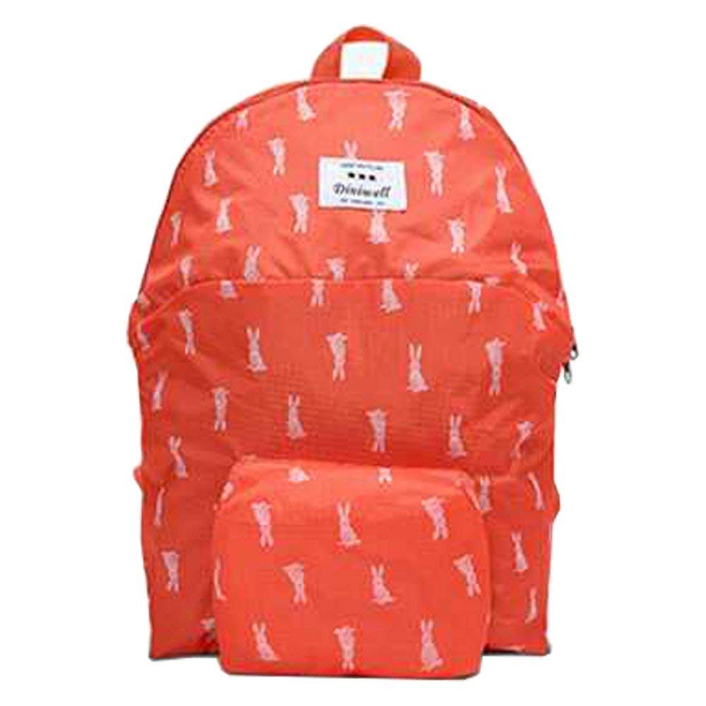 Foldable College Bag