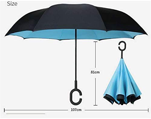 C Umbrella