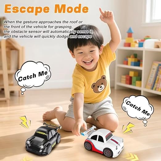 MINI DRIFTING CAR TOY RC CAR