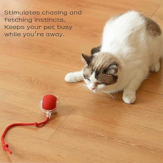 Rolling Pet Ball