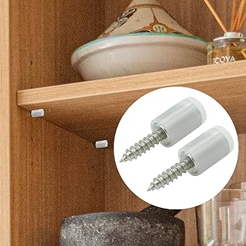 20 PCS Shelf Support Pins