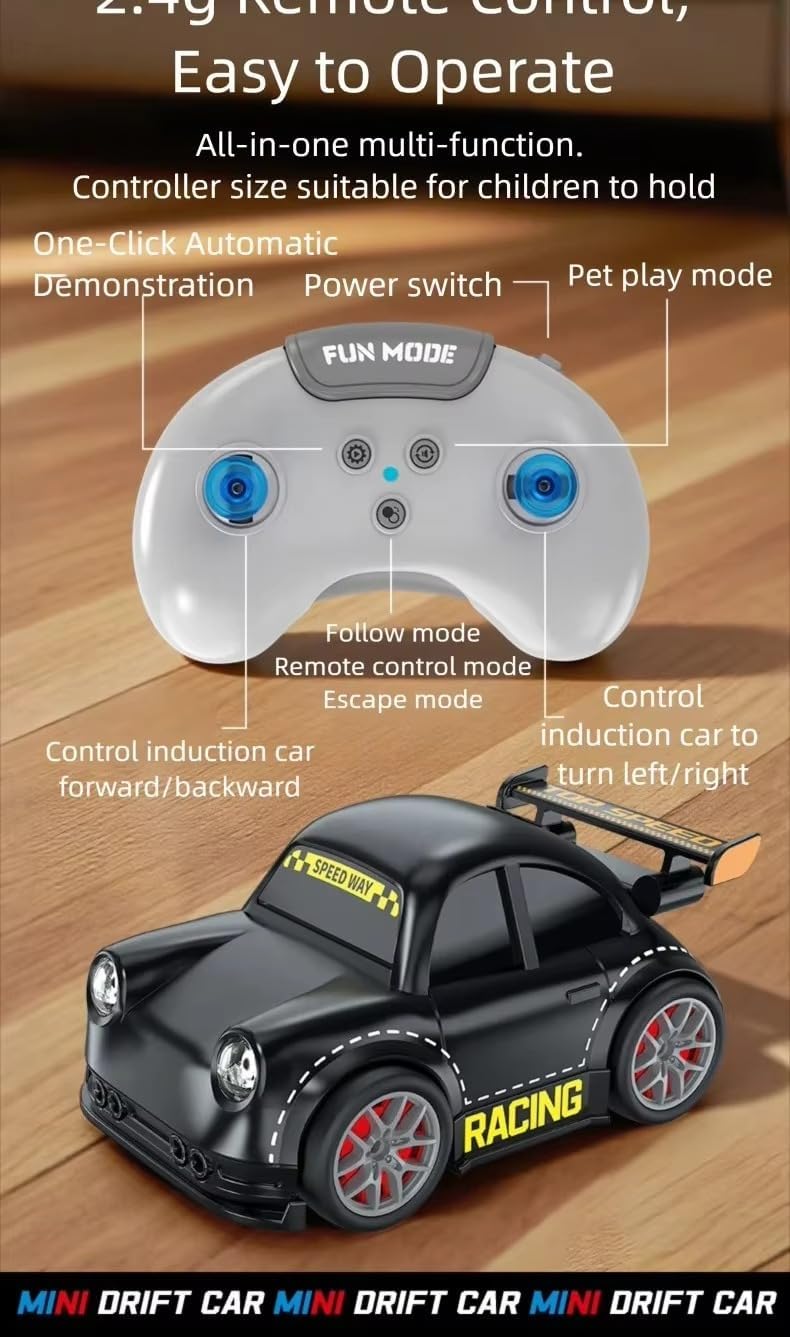 MINI DRIFTING CAR TOY RC CAR