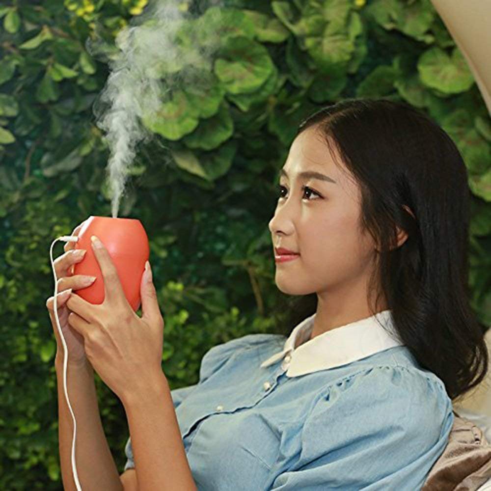Lemon Humidifier