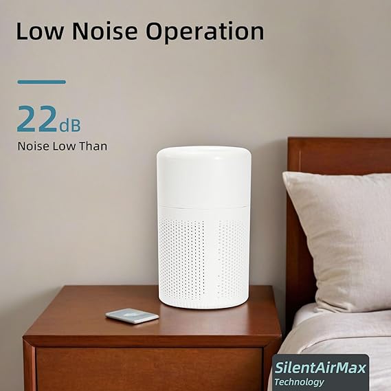 Portable Air Purifier ( no filter )