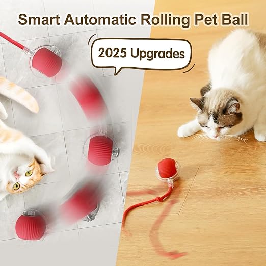 Rolling Pet Ball